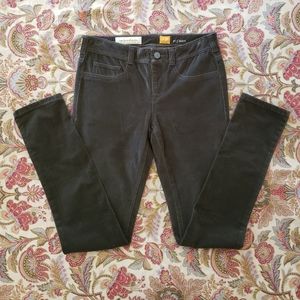 NWOT Anthropologie Pilcro & The Letterpress